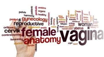 Sex Question Friday: How Deep Is The Average Vagina?