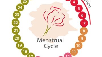 Are There Any Benefits Or Risks To Having Sex During Your Period?