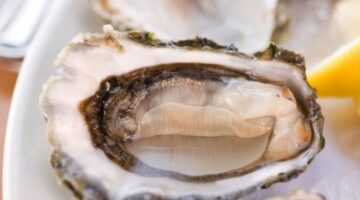 From Oysters to Chocolate to Ginseng: Aphrodisiacs that Do and Don’t Work, According to Science