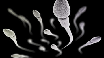 The Science of Sperm: How This Microscopic Organism Travels Great Distances